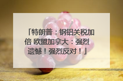 特朗普：钢铝关税加倍 欧盟加拿大：强烈遗憾！强烈反对！
